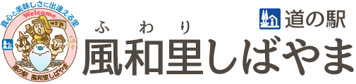 道の駅 風和里しばやま