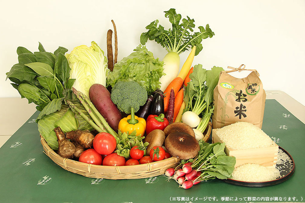 野菜セット内容の例（※写真はイメージです。季節によって野菜の内容が異なります。）