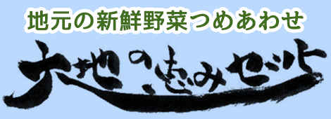 新鮮野菜詰め合わせ「大地の恵みセット」