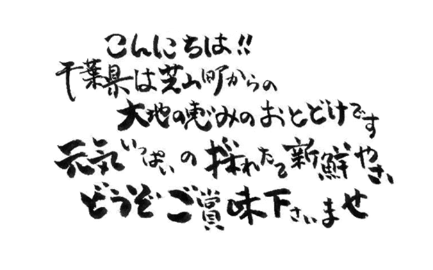 こんにちは！！千葉県は芝山町からの大地の恵みのおとどけです。元気いっぱいの採れたて新鮮やさい、どうぞご賞味下さいませ。